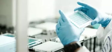 生物技術(shù)賦能化妝品植物原料開發(fā) 開啟綠色美容新紀元